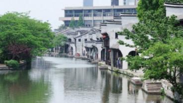 奋进2024·中医药振兴发展